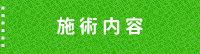 施術内容